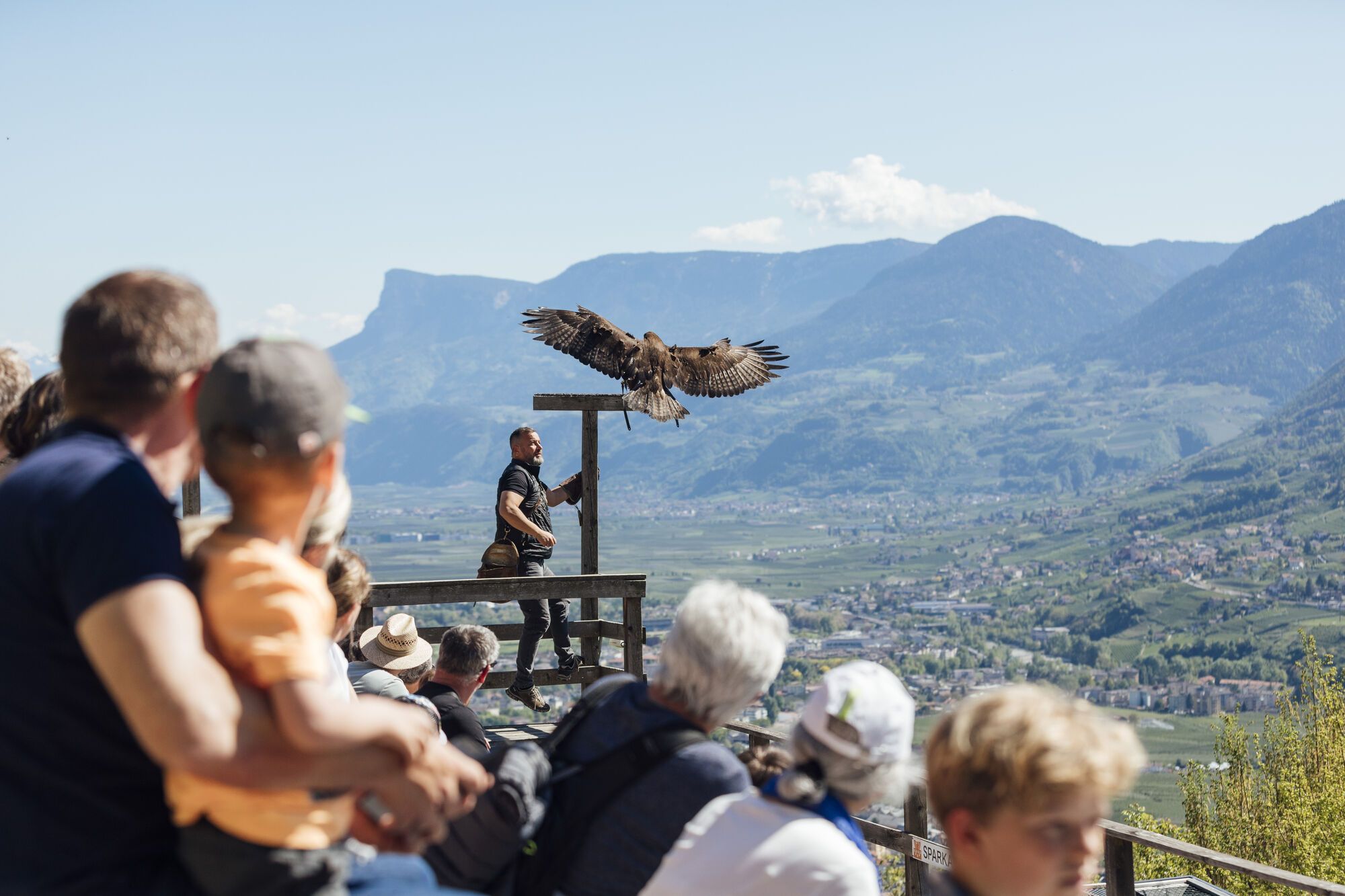 Greifvogel Flugschau bei Meran – Hotel am Sonneck