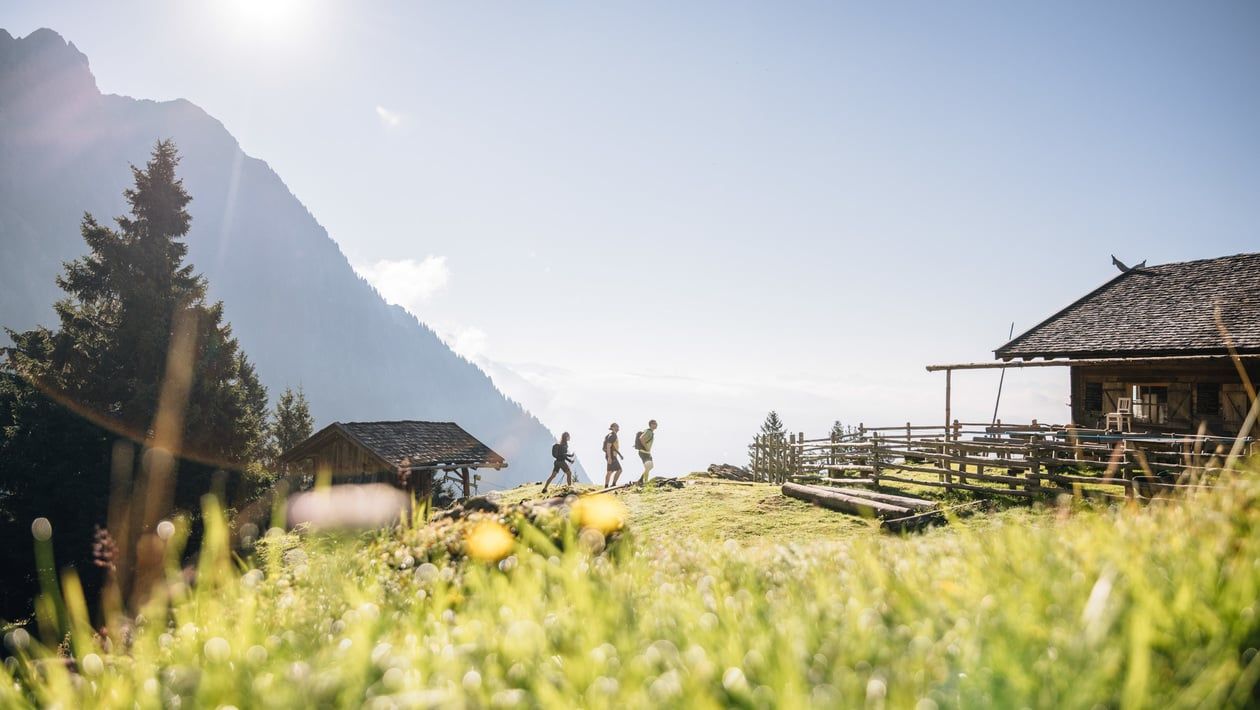 Wandern bei der Kuhalm Hotel Am Sonneck